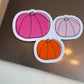 Pink + Orange Pumpkins - Sticker
