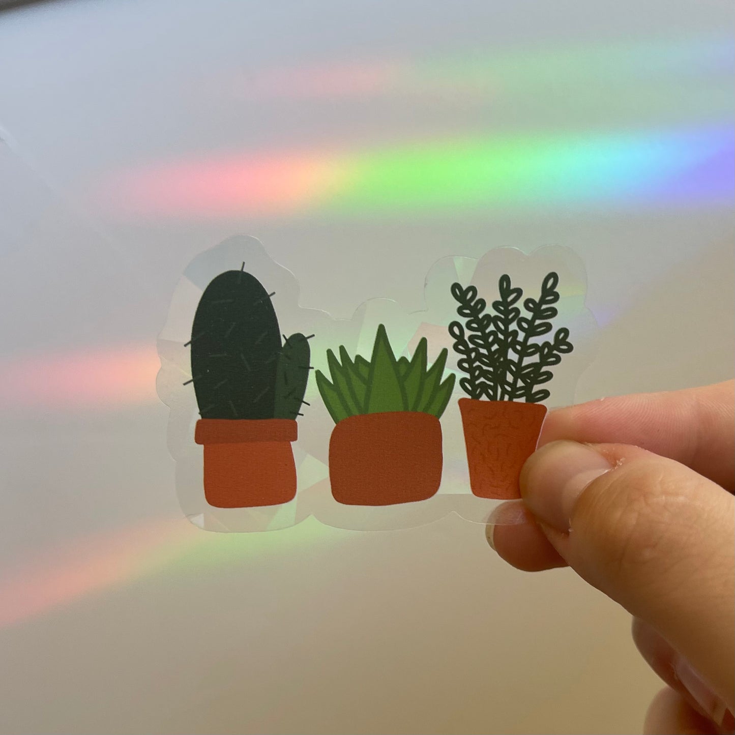 Plants - Rainbow-Making Sun Catchers